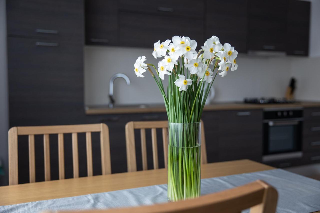 Apartman Ena بييلوفار المظهر الخارجي الصورة